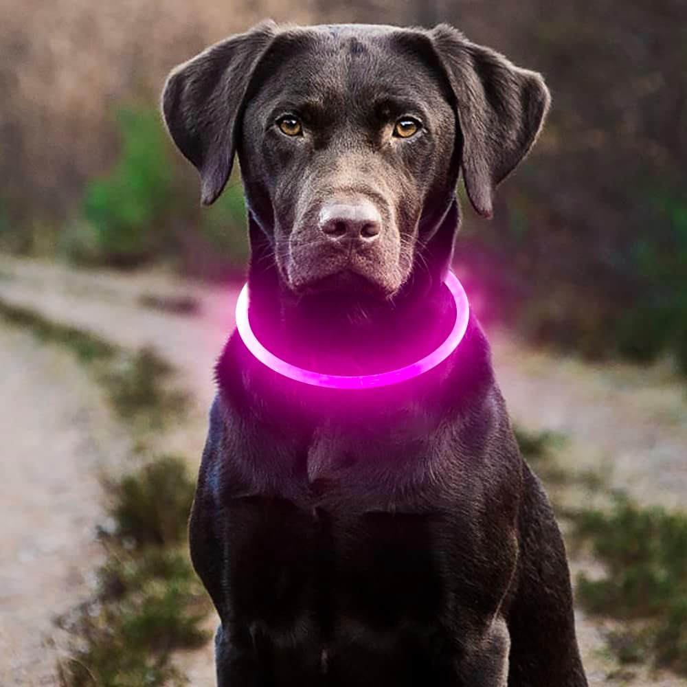 LED Dog Collar - USB Rechargeable Glow-in-the-Dark Waterproof Necklace for Nighttime Walks (Pink)