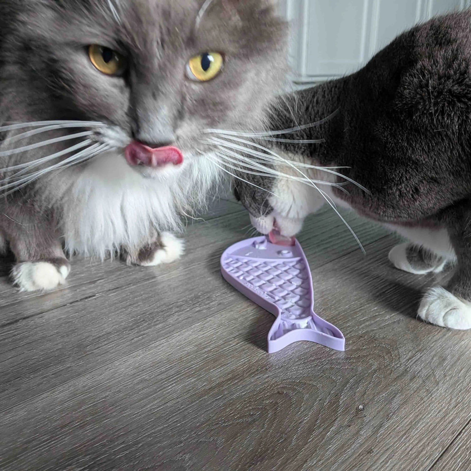 Goldfish Emat Small Enrichment Lick Mat for Cats by Sodapup