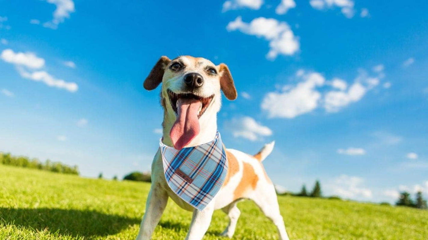 Blue Plaid Dog Bandana and Cat Kerchief - Triangle Bib Scarf for Small, Medium, and Large Pets