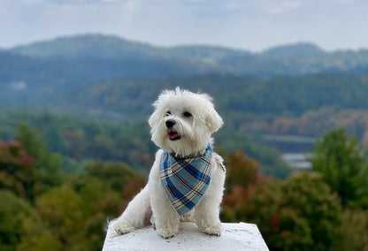 Blue Plaid Dog Bandana and Cat Kerchief - Triangle Bib Scarf for Small, Medium, and Large Pets