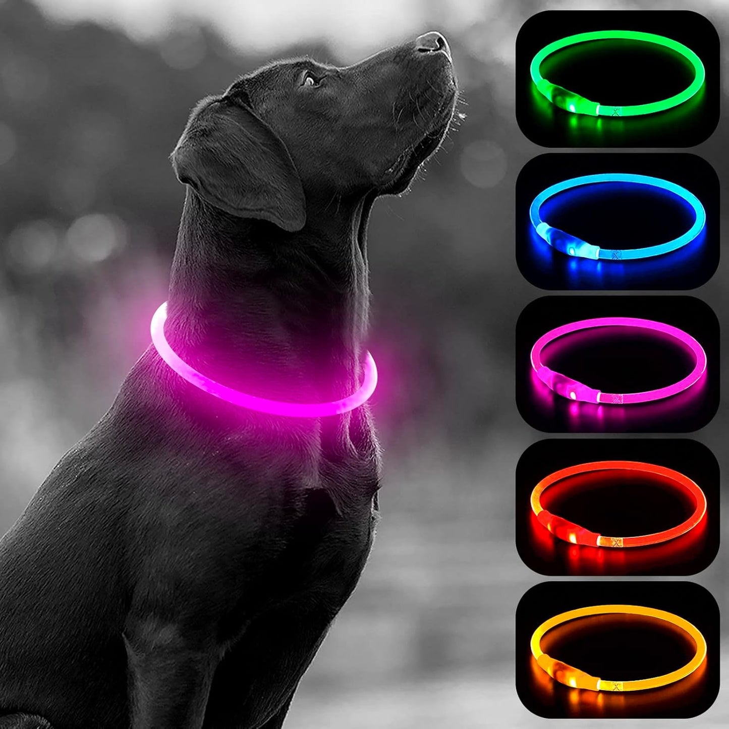 LED Dog Collar - USB Rechargeable Glow-in-the-Dark Waterproof Necklace for Nighttime Walks (Pink)