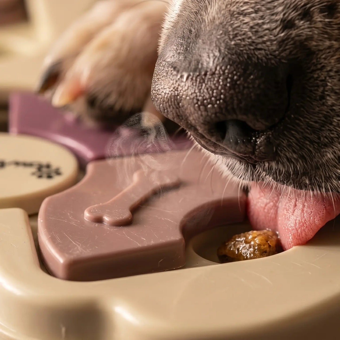 Interactive Dog Puzzle Toy and Slow Feeder Bowl - Level 1 Treat Dispenser for Mental Enrichment, Healthy Digestion, and Engaging Mealtime Activities