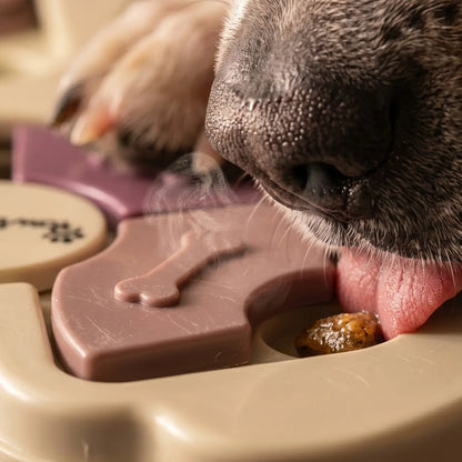 Interactive Dog Puzzle Toy and Slow Feeder Bowl - Level 1 Treat Dispenser for Mental Enrichment, Healthy Digestion, and Engaging Mealtime Activities