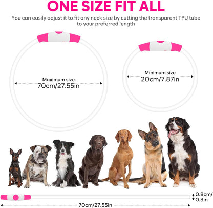 LED Dog Collar - USB Rechargeable Glow-in-the-Dark Waterproof Necklace for Nighttime Walks (Pink)