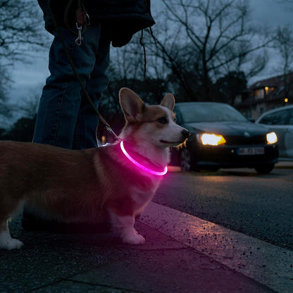 LED Dog Collar - USB Rechargeable Glow-in-the-Dark Waterproof Necklace for Nighttime Walks (Pink)